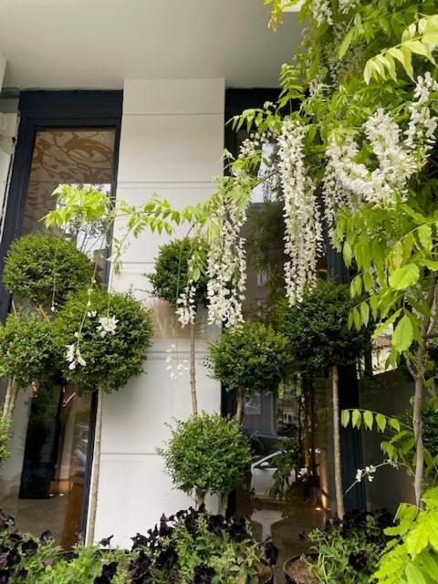 Ab Residences -Cihangir Luxury Antique Apartment 伊斯坦布尔 外观 照片